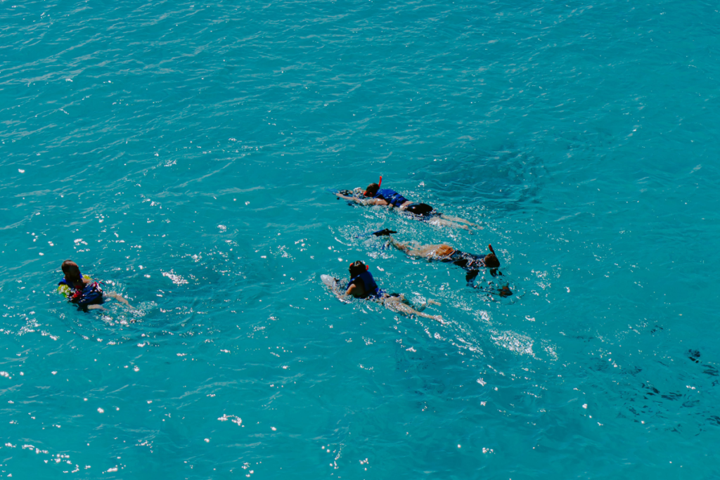 Descubre la Belleza Natural: Explora Mangel Halto, un Paraíso Escondido en Aruba